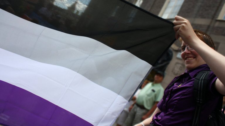 Drapeau asexualité