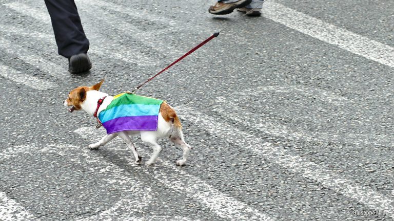 Gay pride de Dublin - Giuseppe Milo / Flickr
