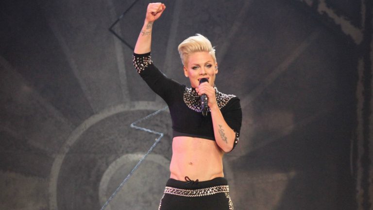 La chanteuse P!NK lors d'un concert en 2013 à NYC - JStone / Shutterstock