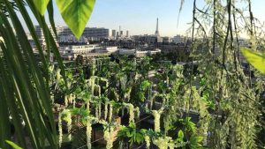 meilleurs rooftops de Paris