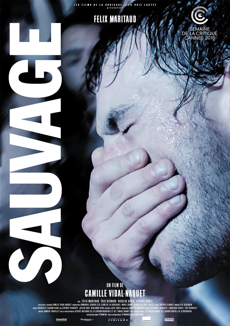 Affiche film sauvage