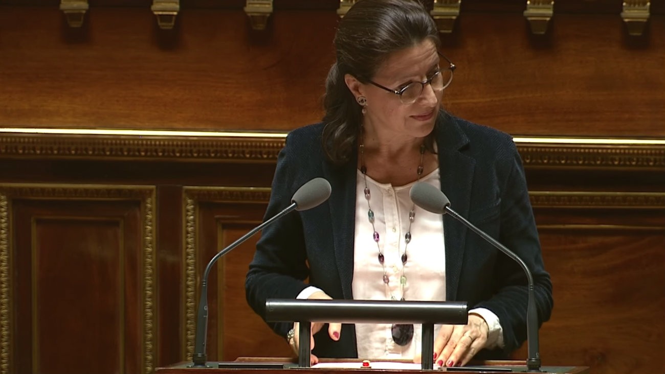 La ministre des Solidarités et de la Santé Agnès Buzyn