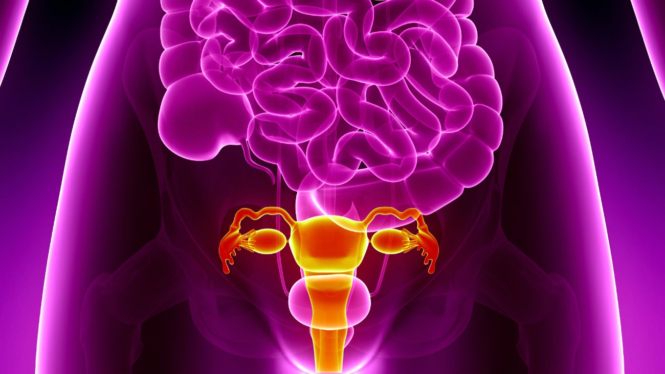 greffe uterus personnes intersexes pma gpa