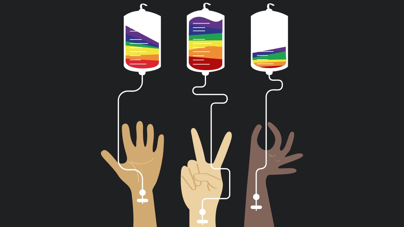 Don du sang LGBT+brésil
