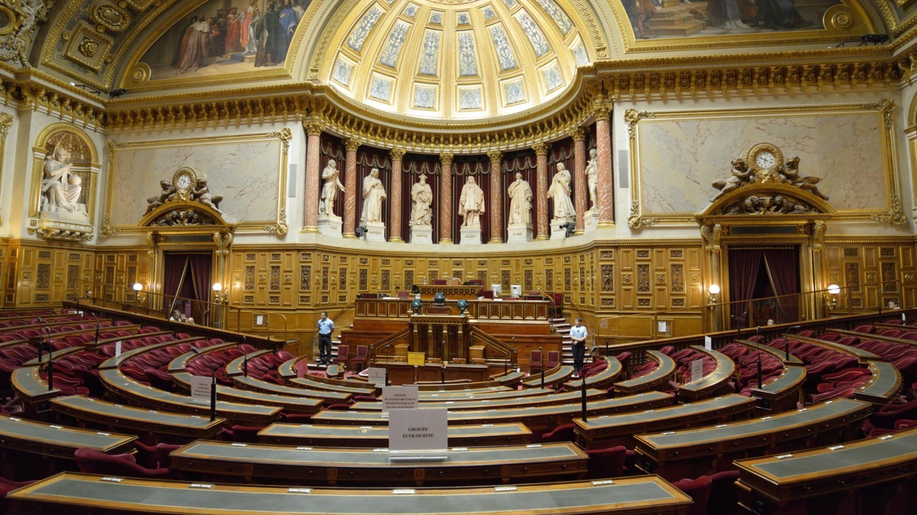 assemblée nationale PMA