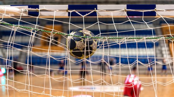 suspension « insuffisante » de Pelletier selon la Fédération française de handball, qui fait appel