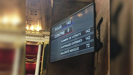 Vote unanime au Parlement pour cibler pénalement les « thérapies de conversion »