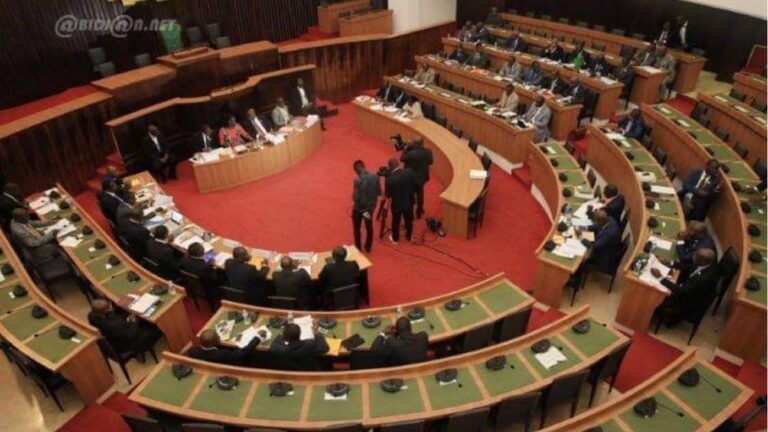L'Assemblée nationale ivoirienne