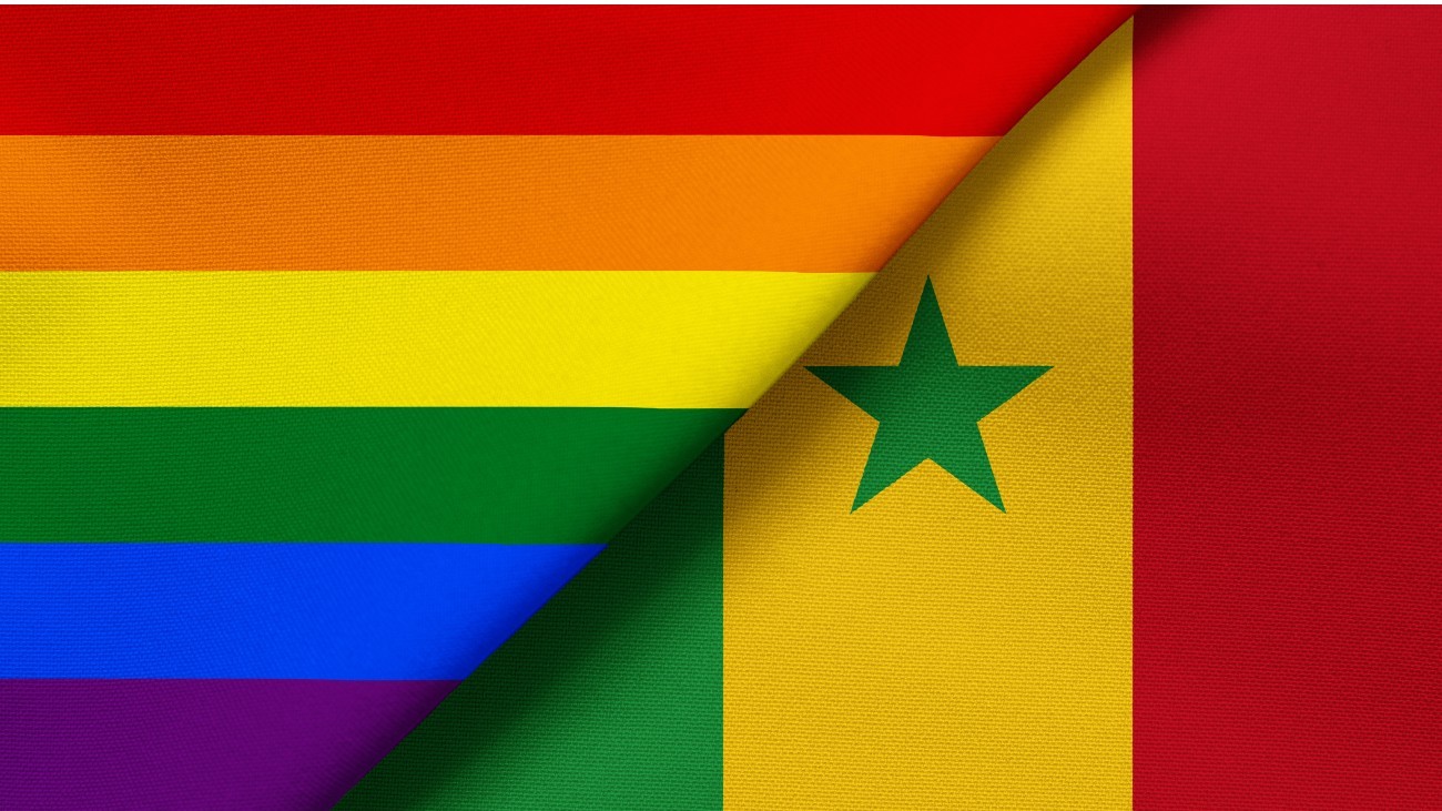 Drapeau LGBT / Sénégal - Yuriy Boyko / Shutterstock