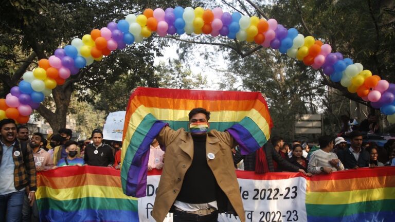 Manifestants participant à la Pride de New Dehli le 8/1/2023