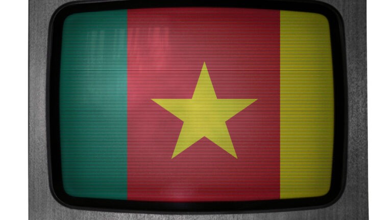 Le drapeau du Cameroun dans une télé