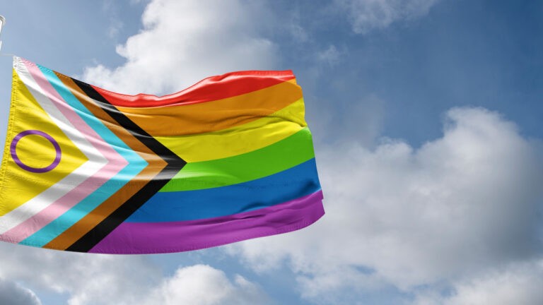 Le drapeau inclusif LGBTQIA+- Svet foto / Shutterstock